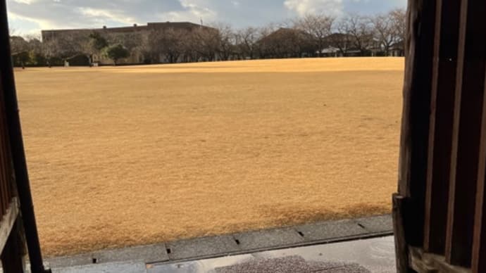 刑事フォイル・・・寒い1日は散歩以外は家籠もり