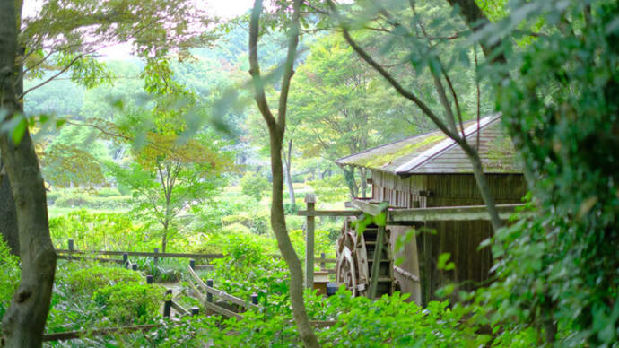 sakeの歩窓から(薬師台で蝶々を撮る)