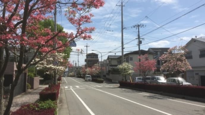 待てど暮らせど、、、