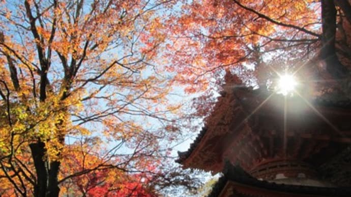 ★近くの「牛滝山大威徳寺」へ紅葉散歩♪