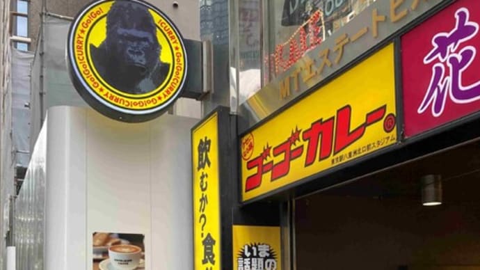 金沢カツカレー食べたくなってゴーゴーカレー