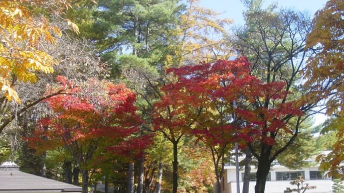 軽井沢は燃えている「駒場公園の紅葉」～口語短歌と写真で綴る世界文化紀行