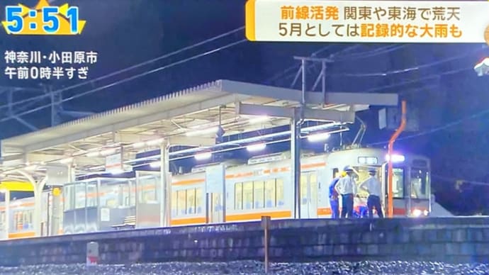 神奈川の国鉄御殿場線で惚けの襤褸の木が勝手に倒れやがって電車を破壊