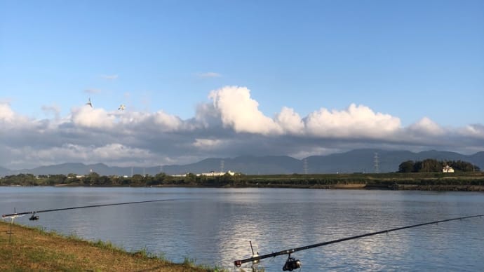 10月1日の鯉釣り