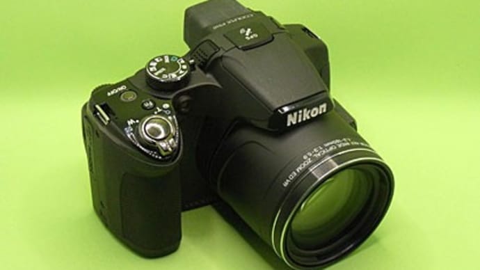 Nikon COOLPIX P510(15)．．更新