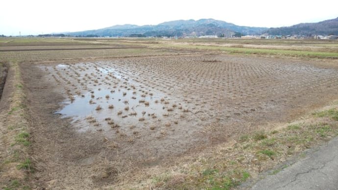 田んぼ中畦作り