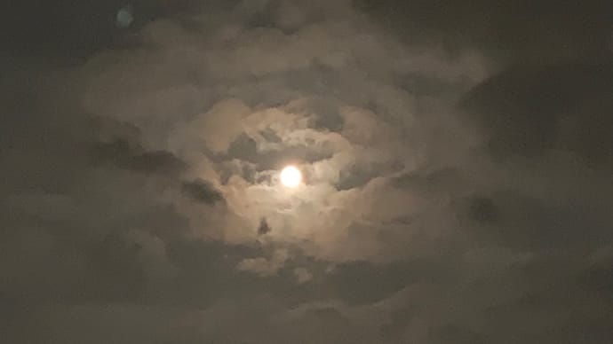 満月の夜もよく眠れました💤