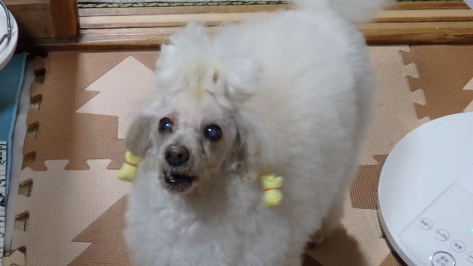 久々の癲癇