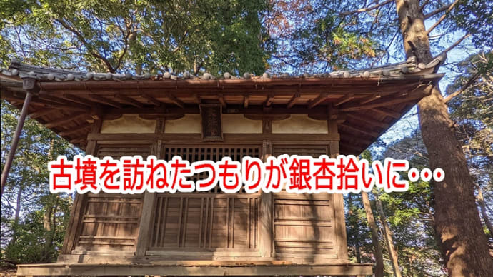 古墳を訪ねたつもりが銀杏拾いに・・・