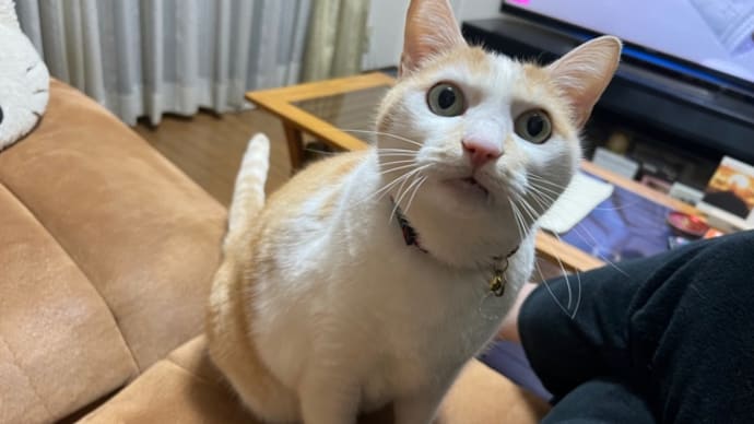 暖かいね