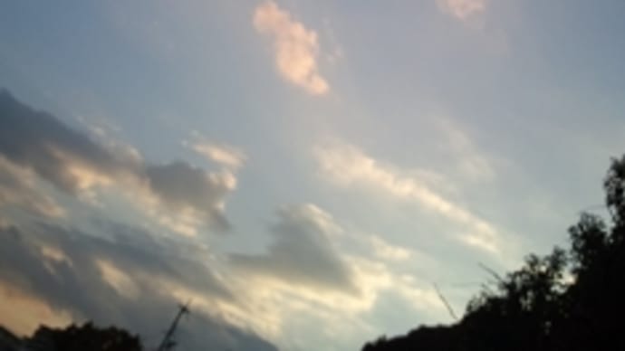 ゆく年くる年、よいお年を 2013