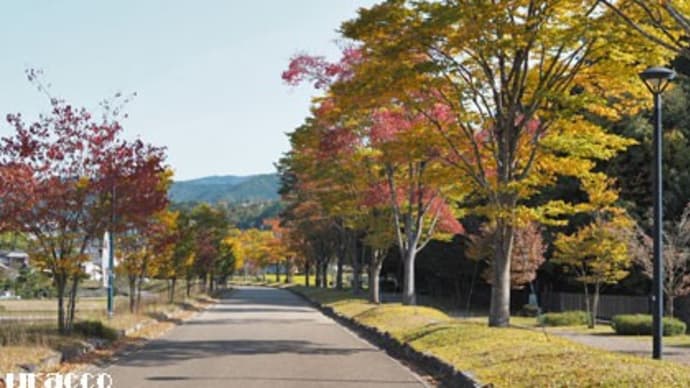 兵庫県立丹波並木道中央公園(1)
