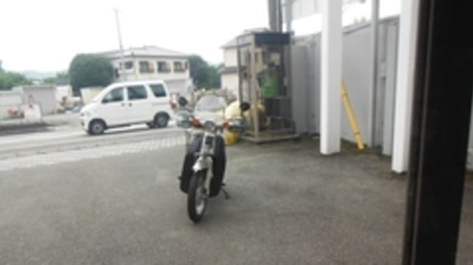 来たね雨さんホイスカドンの水曜日
