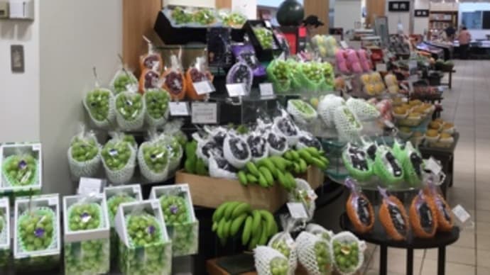 【#hanacafeマルシェ】パレルモ収穫祭の最中、東京ビッグサイトでは…注目の野菜