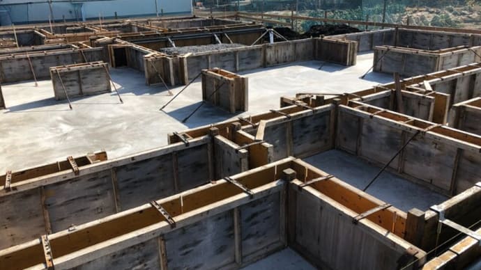 猫と暮らすゼロエネルギー住宅 基礎金物検査