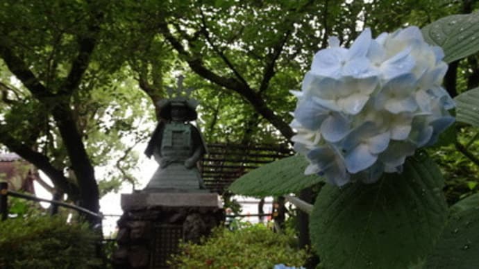 2021年・藤森神社の紫陽花・後編　＠　京都妖怪探訪（７４４）