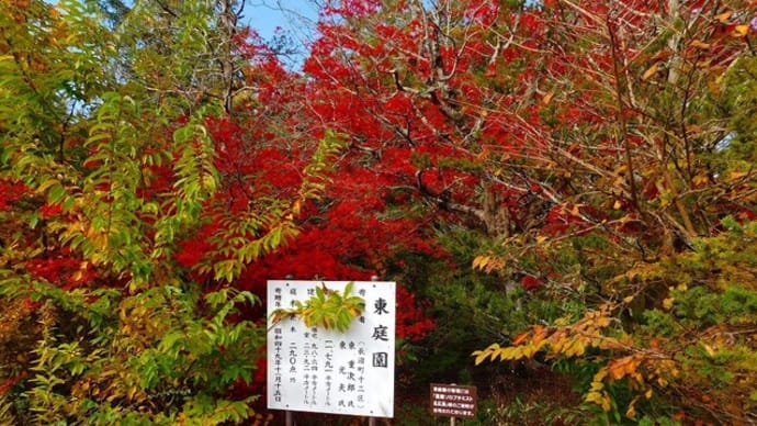 東庭園・長沼町