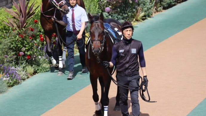 春競馬2023-10