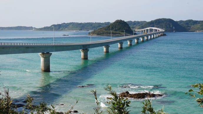 ダルマギクの自生地へ