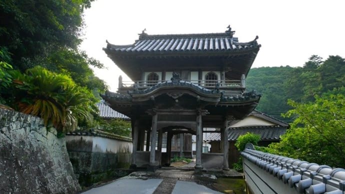 西圓寺の青蓮