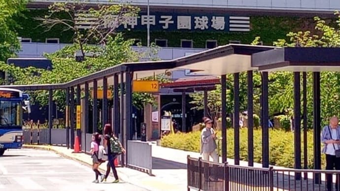 第97回選抜高校野球大会 21世紀枠 各地区推薦校の9校