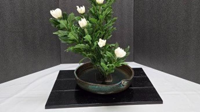 菊の格花