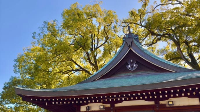 パワースポットの神社へお詣りに @氷川神社
