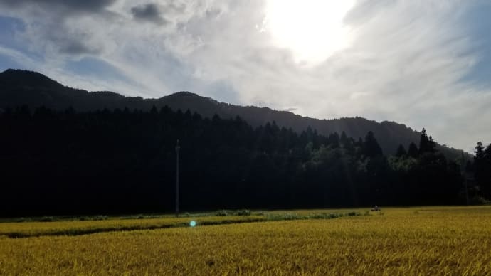 無敵になる