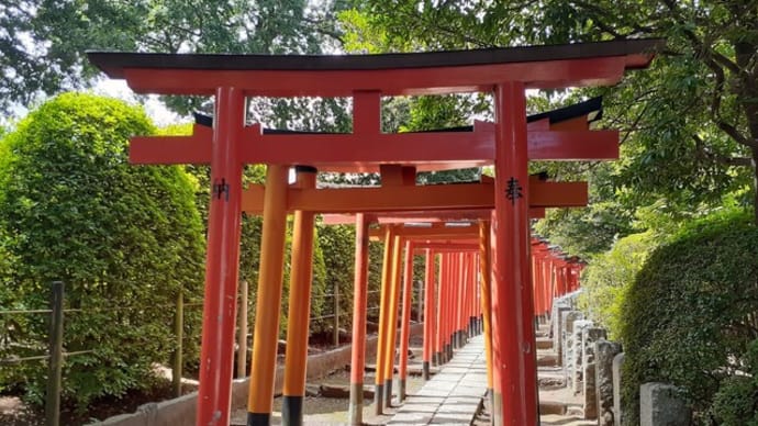 天気が不安定な根津神社