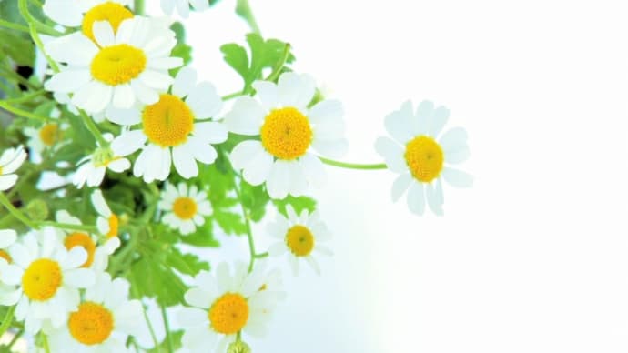 不安で気持ちが落ち着かないとき、やるといいこと。②