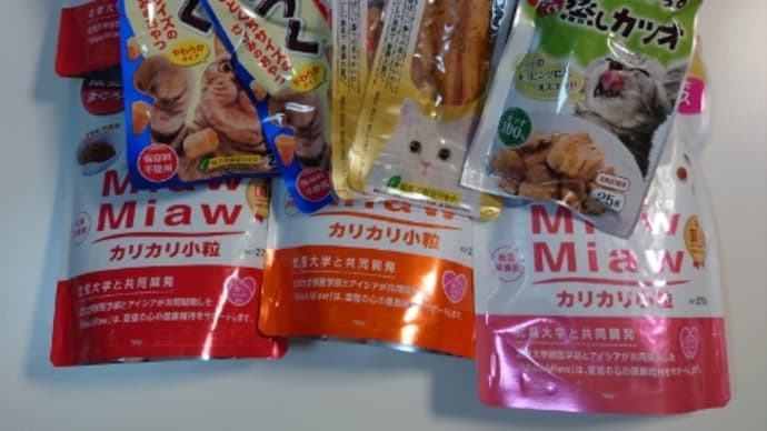 メンテナンス日〜