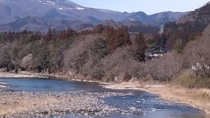 サギ、ネコ、ハヤブサ？〜そして飛行機雲