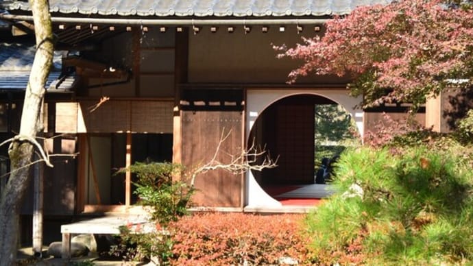 古都鎌倉「明月院」に行ってきました。2