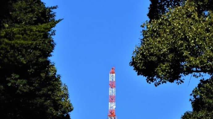 2020・10・25 明治神宮鎮座百年祭記念シンポジウム・100年の森で未来を語るMの森連続フォーラム