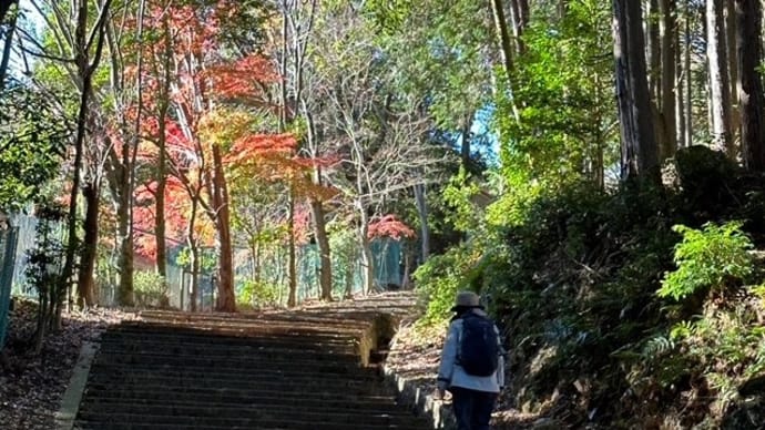 歩いて登る比叡山🍁ご案内🚩
