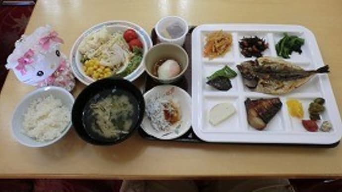 日本旅行、キティさんと行く伊東温泉の旅、二日目~♪