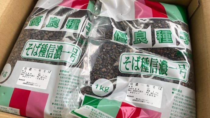 ”失敗は成功の基”【田圃で蕎麦栽培】2年目の挑戦!