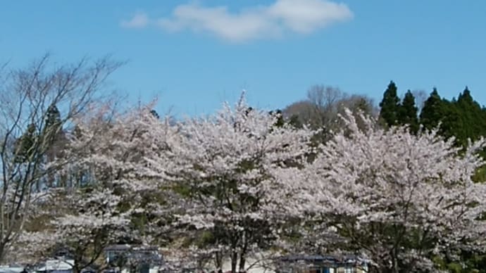 晴れの土曜日