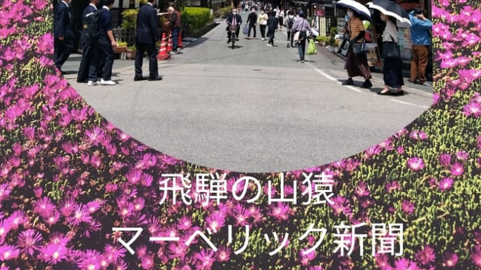 ★【国会中継】衆院 予算委員会 2022年度補正予算案を質疑(2022年5月26日)