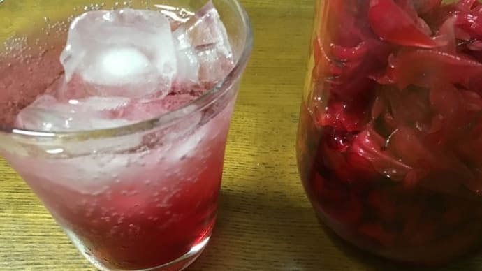 これで飲み納め🍷