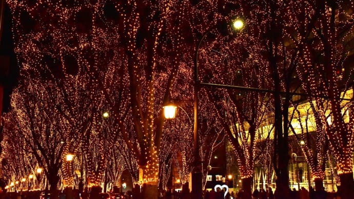 12月の風、煌きの夜。