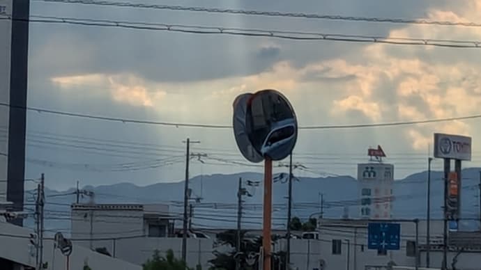 雨の後、私は見た