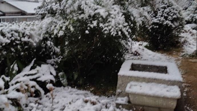 なんと物好きな…春の吹雪の中を吟行へ!