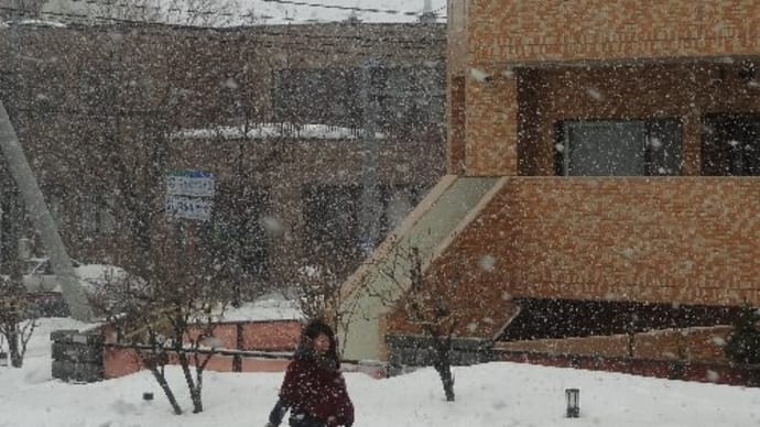 やはり、道産子は雪では傘をささない=お題「ご当地のあるあるを教えて!」(8件)に参加中!;