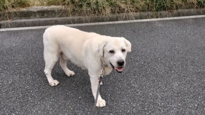 今日は颯馬の病院日