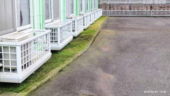 【草取り】メゾンハーモニーにて作業完了