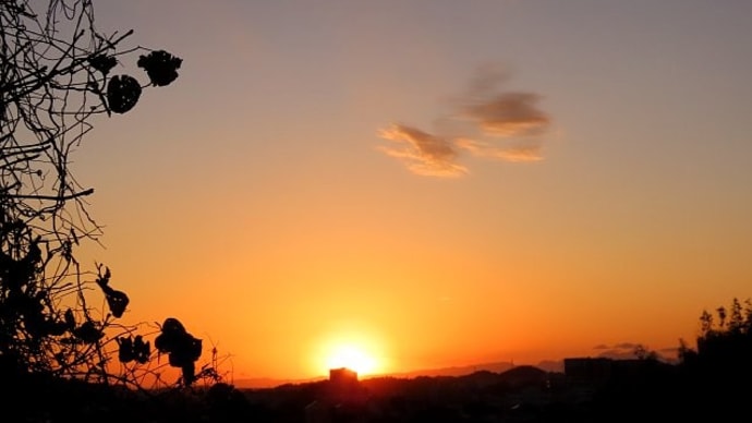 年末は心と身体も大掃除?