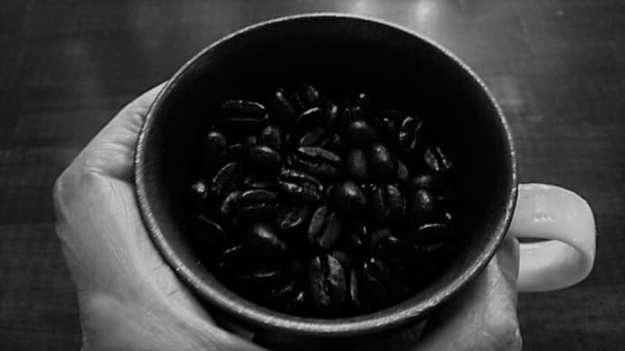 珈琲豆価格動向のお知らせ