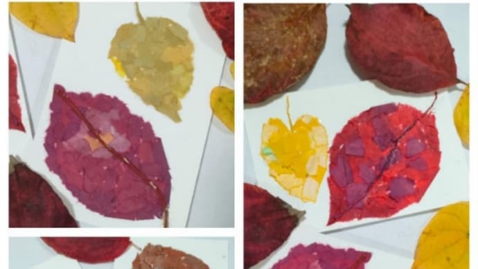 こどもたちが制作した手染め和紙の秋の葉っぱたち