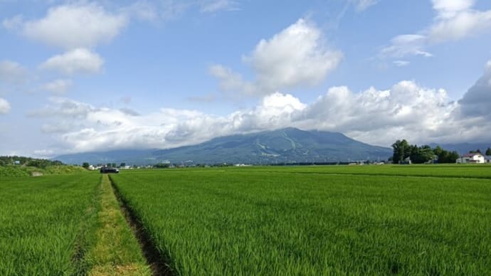 2024 米づくり 7月22日